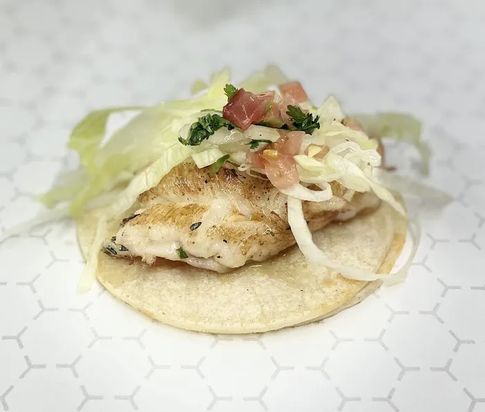 Tacos Gambiit Picture 6