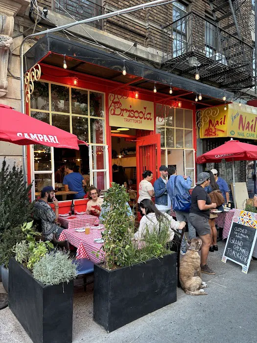 Briscola Trattoria Picture 5