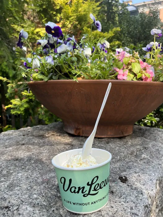 Van Leeuwen Ice Cream Picture 9