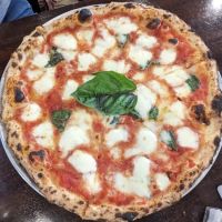 Black Oak on Fifth ico