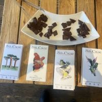 Sol Cacao ico