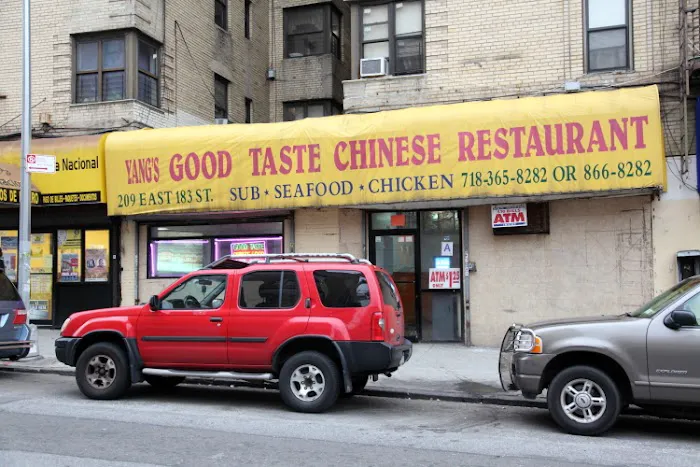 Yang's Good Taste Picture 5