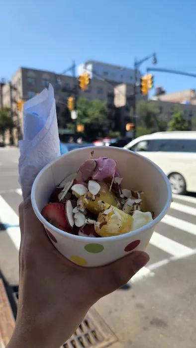Peachwave Frozen Yogurt Picture 3