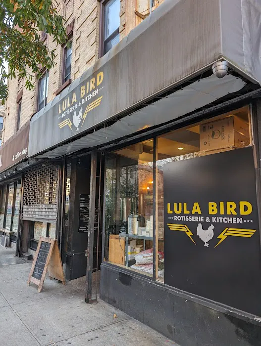 Lula Bird Picture 10