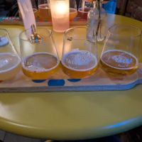 TALEA Beer Co. ico