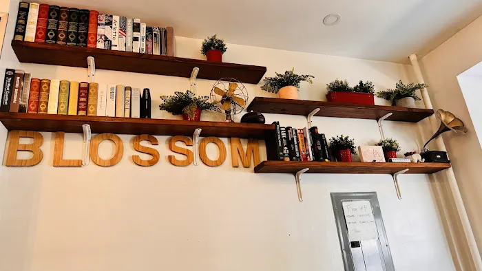 Blossom Ice Cream Picture 5