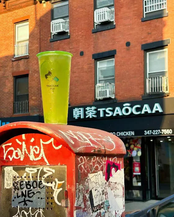 TSAOCAA Picture 6