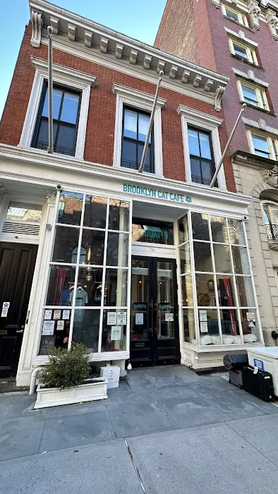 The Brooklyn Cat Cafe Picture 9