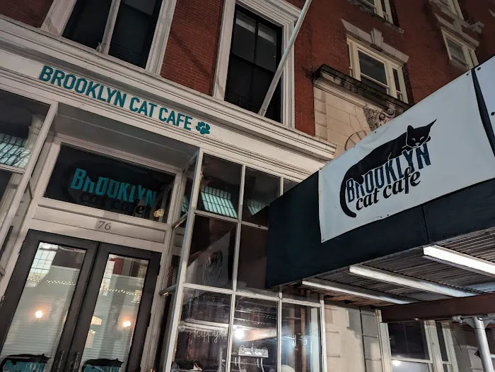 The Brooklyn Cat Cafe Picture 3