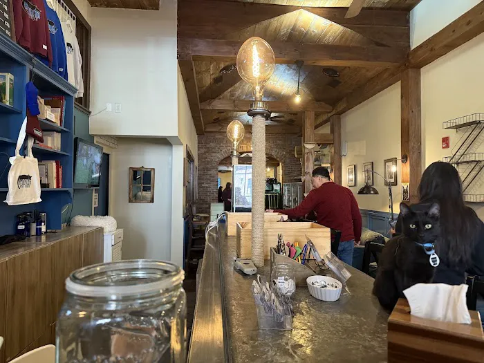 The Brooklyn Cat Cafe Picture 7