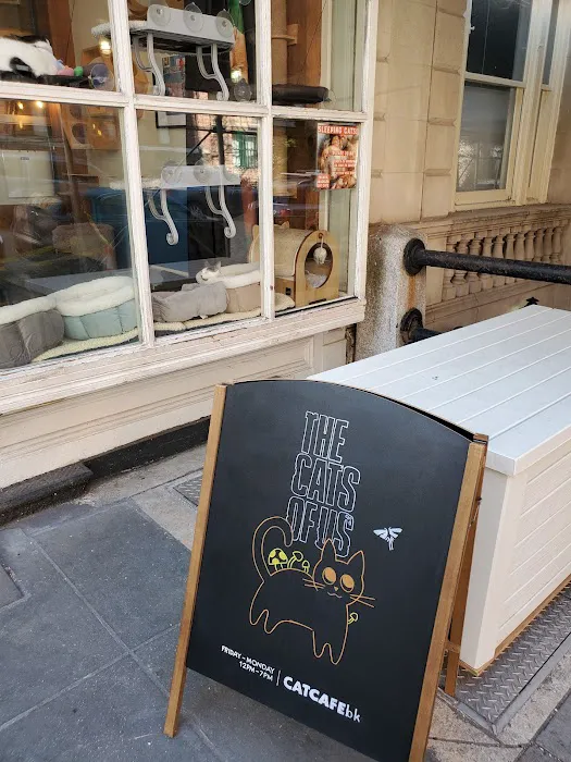 The Brooklyn Cat Cafe Picture 2