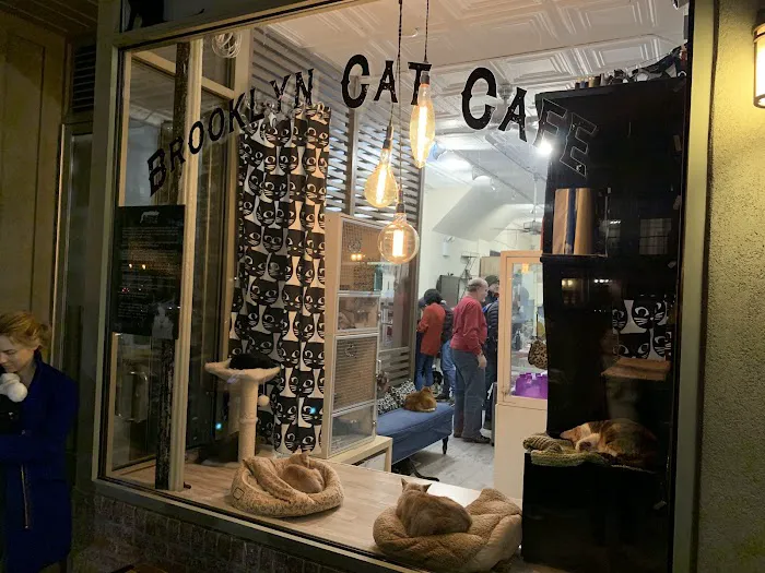 The Brooklyn Cat Cafe Picture 10