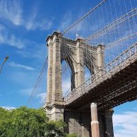 sweetgreen ico
