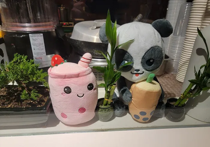 The Rogue Boba Picture 9