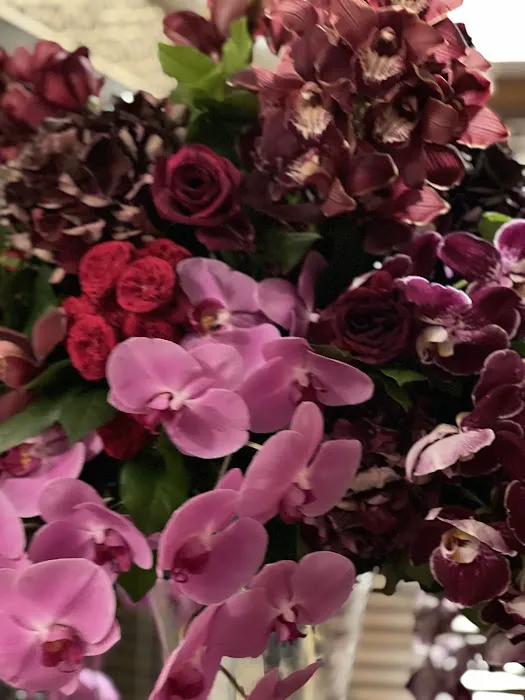 Sapeda Restaurant Picture 4