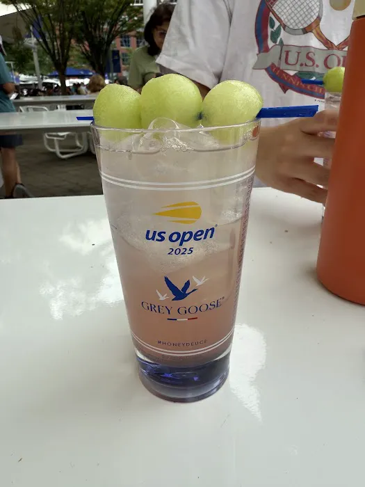 Grey Goose Picture 5