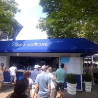 Grey Goose ico