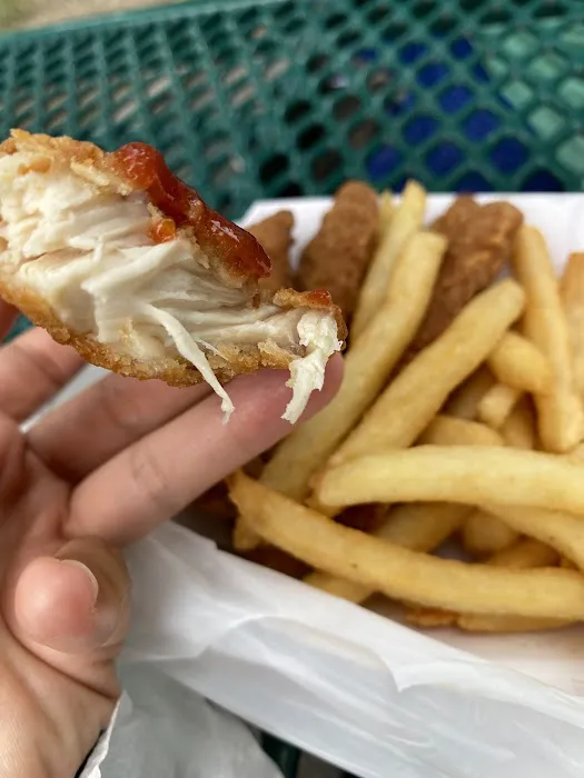 Tommy's Doghouse Picture 1