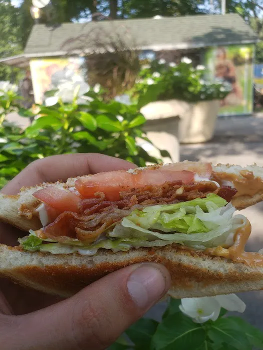 Tommy's Doghouse Picture 7