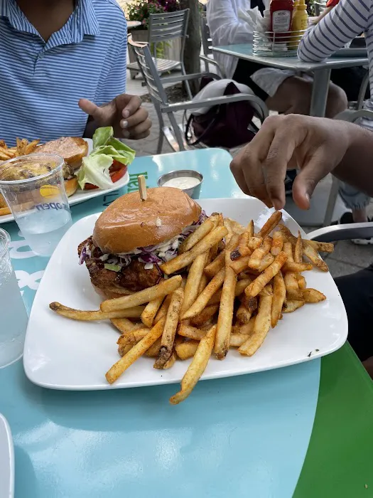 Kosher Grill Picture 5