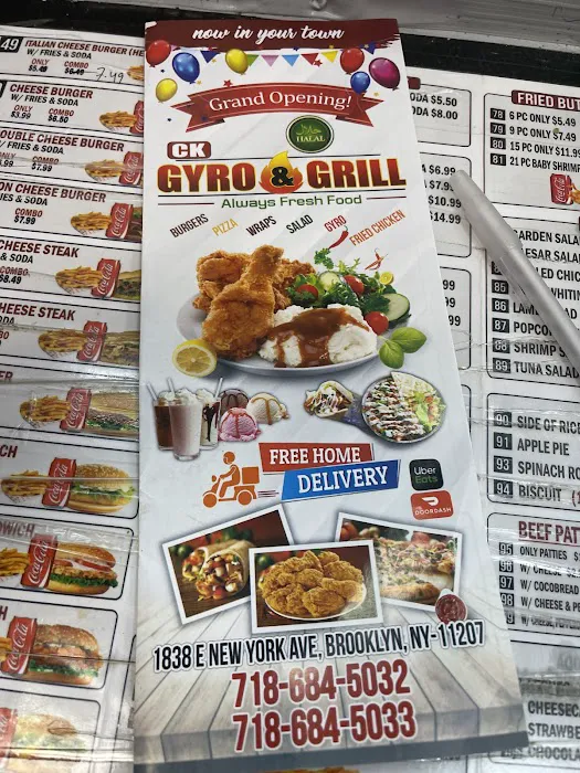 CK GYRO & GRILL Picture 4
