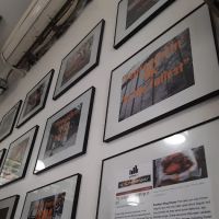 Brooklyn Wing House ico