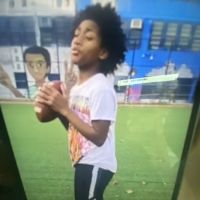 Jas crown fried chicken ico