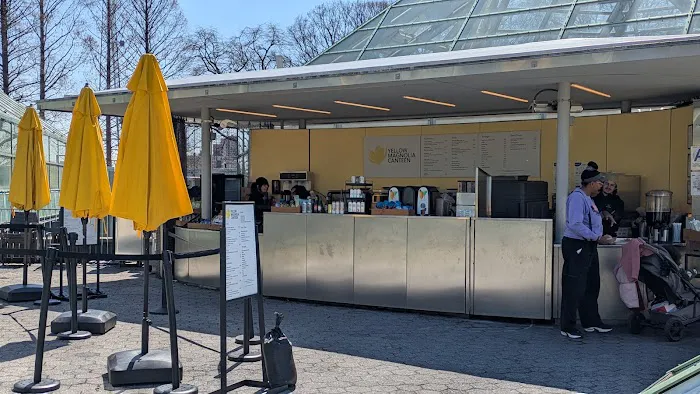 Yellow Magnolia Café Picture 8