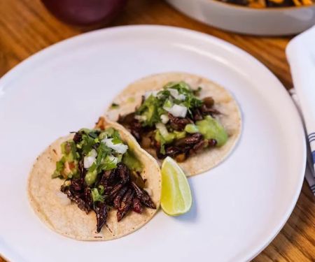 Bar San Miguel - Carroll Gardens