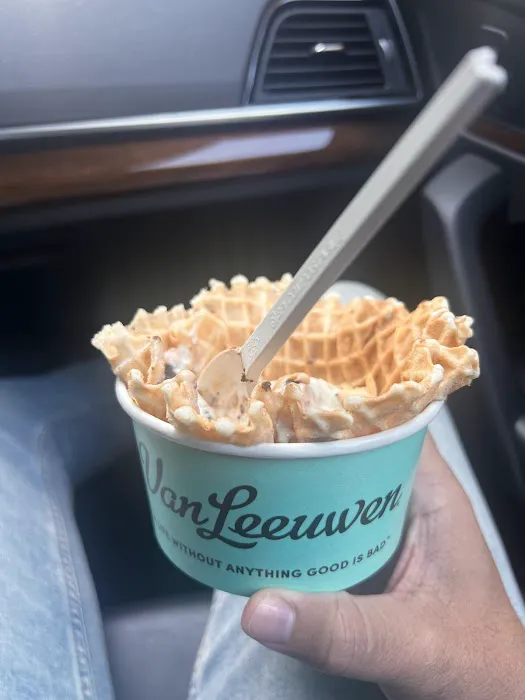 Van Leeuwen Ice Cream Picture 2