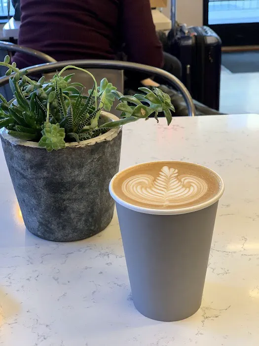 Bond St Coffee and Goods Picture 6
