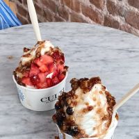 Culture An American Yogurt Company ico