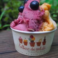 L'Albero Dei Gelati ico