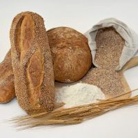 IL Forno Bakery ico