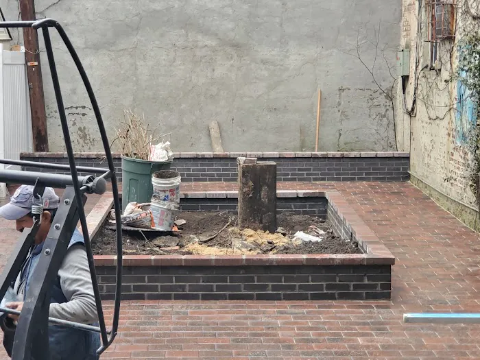 Lucky Coming Picture 2