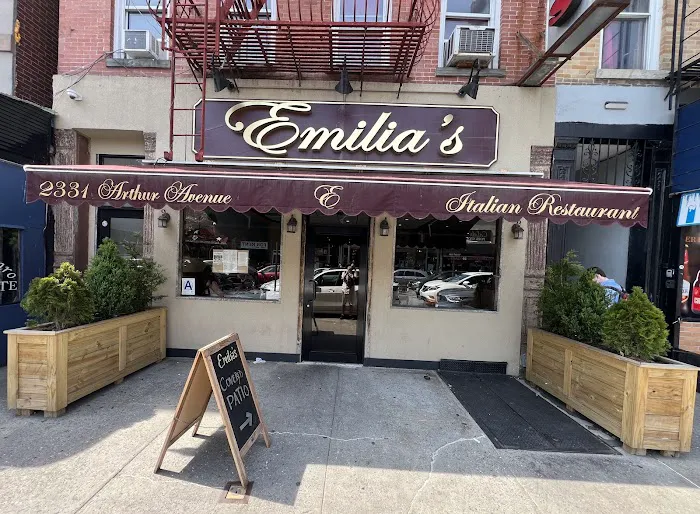 Emilia's Picture 2