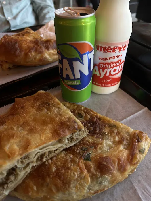 Dea Burek Picture 4