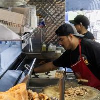 Tacos El Lobo #3 ico