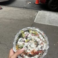 HALAL MEALS ico