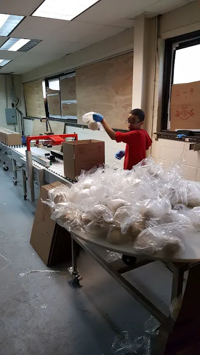 Terranova Bakery Picture 1