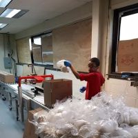 Terranova Bakery ico