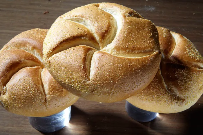 Terranova Bakery Picture 4