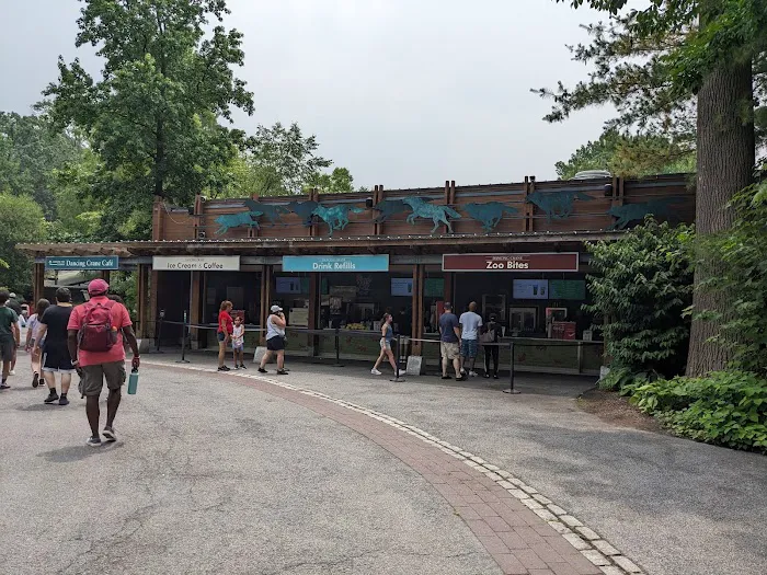 Dancing Crane Café Picture 1