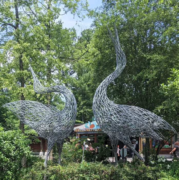Dancing Crane Café Picture 7