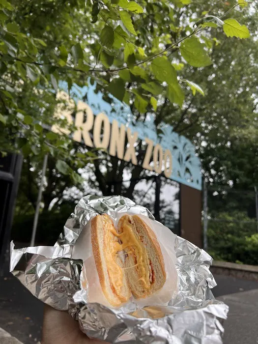 Bronx Zoo Hot Deli Picture 7
