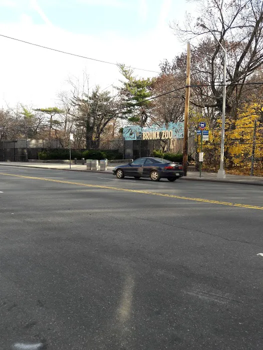 Bronx Zoo Hot Deli Picture 4