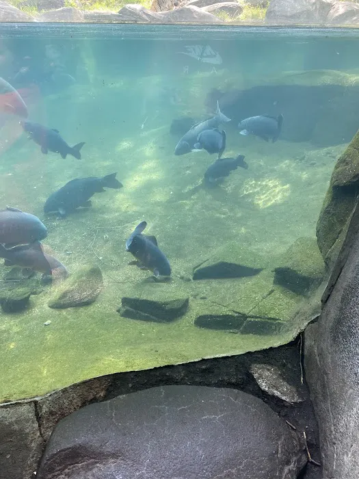 Bronx Zoo Hot Deli Picture 6