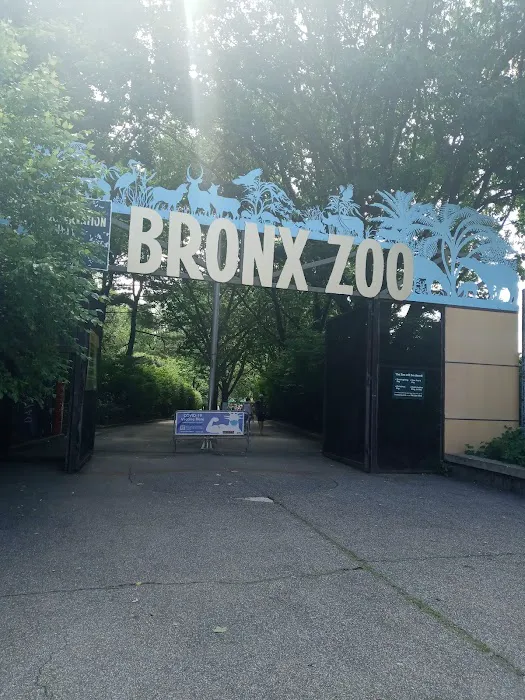 Bronx Zoo Hot Deli Picture 2