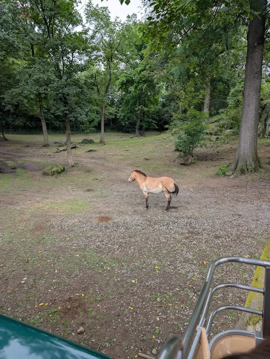 Zoo Brews Picture 1