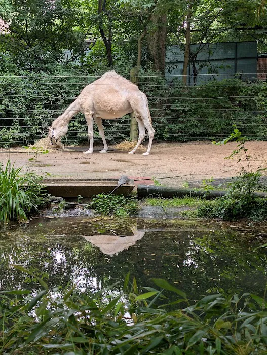 Zoo Brews Picture 7